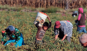 Aposentadoria rural desde os 8 anos: Mito ou verdade?